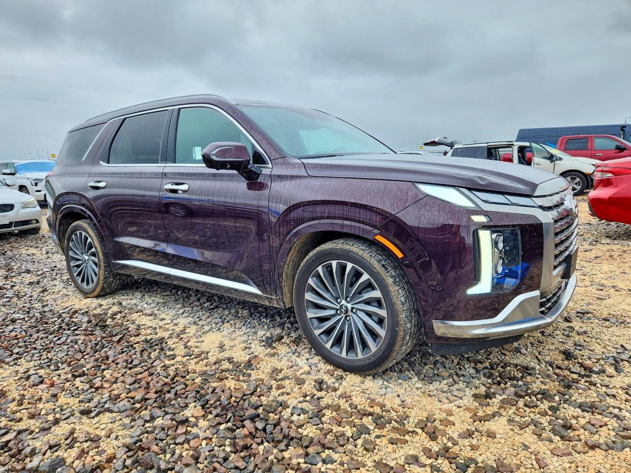 2024 Hyundai Palisade Calligraphy - Фото 4