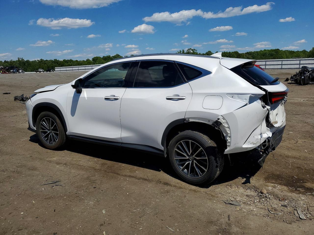 2024 Lexus Nx 350H Premium - Фото 2