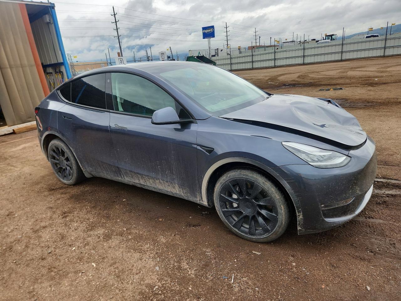 2023 Tesla Model Y - Фото 4