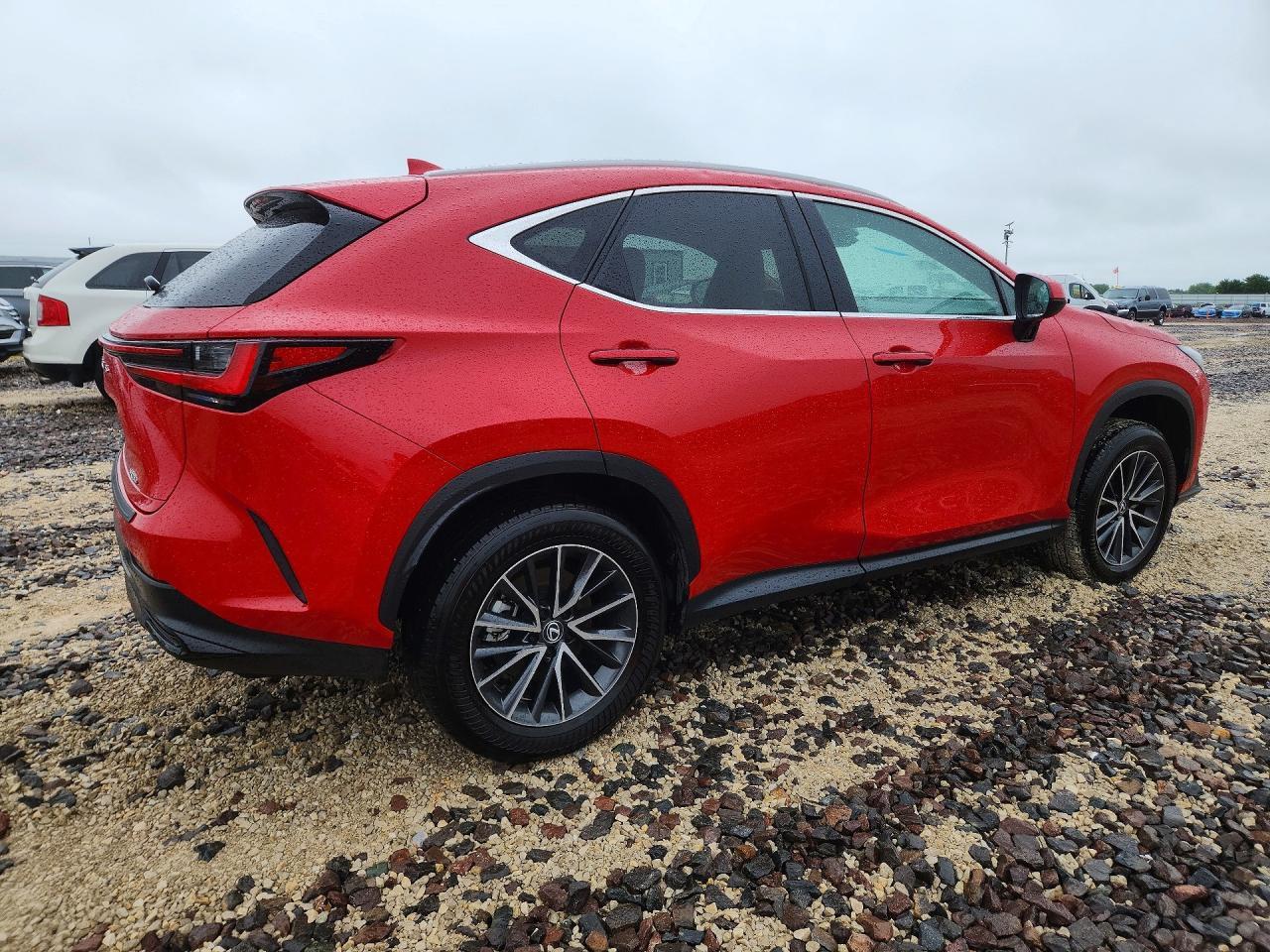 2024 Lexus Nx 250 Premium - Фото 3