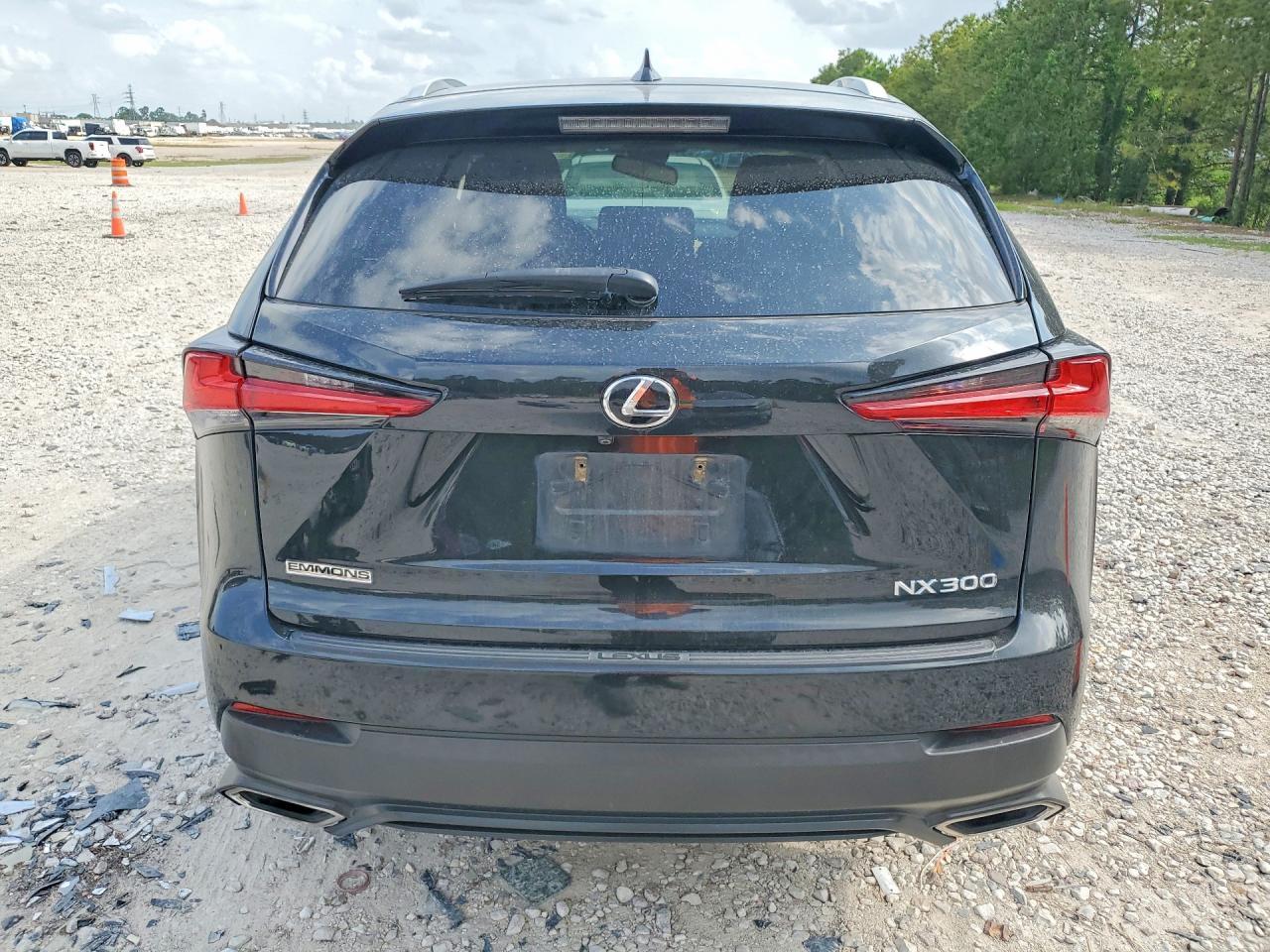2018 Lexus Nx 300 Base - Фото 6