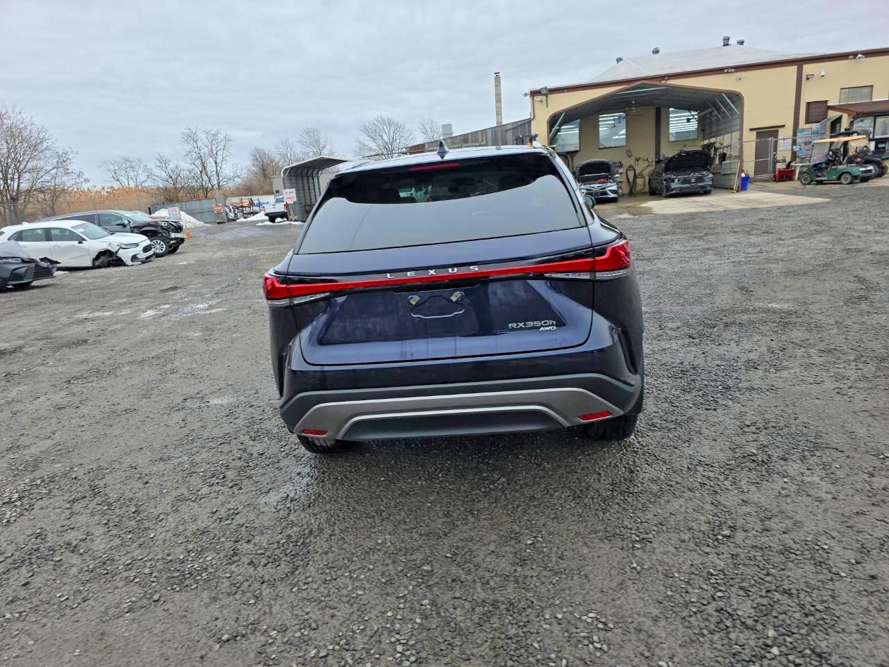 2025 Lexus Rx 350H Premium+ - Фото 6