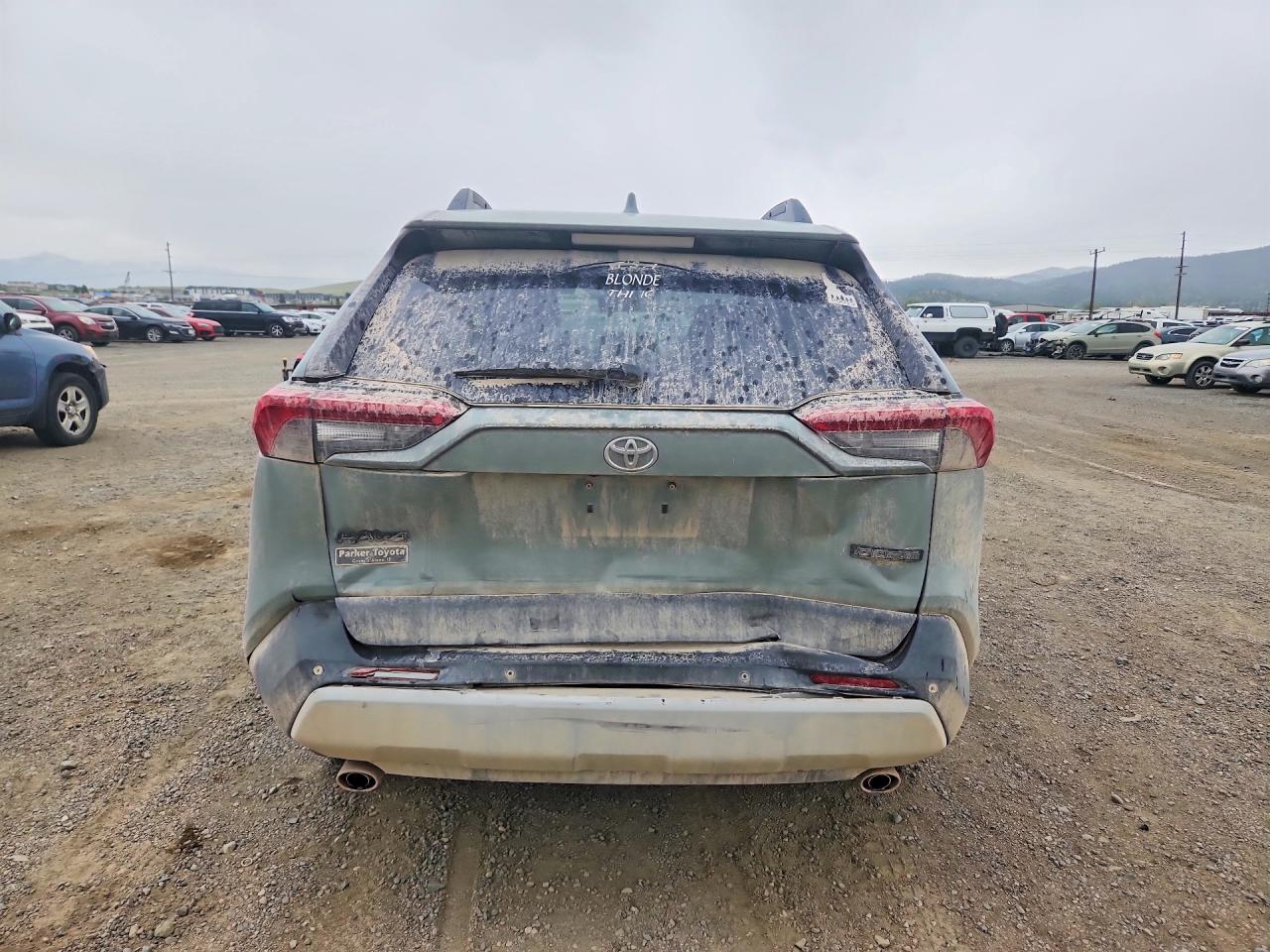 2019 Toyota Rav4 Adventure - Фото 6