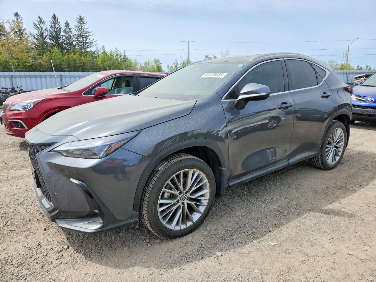 2026 Lexus Nx 350