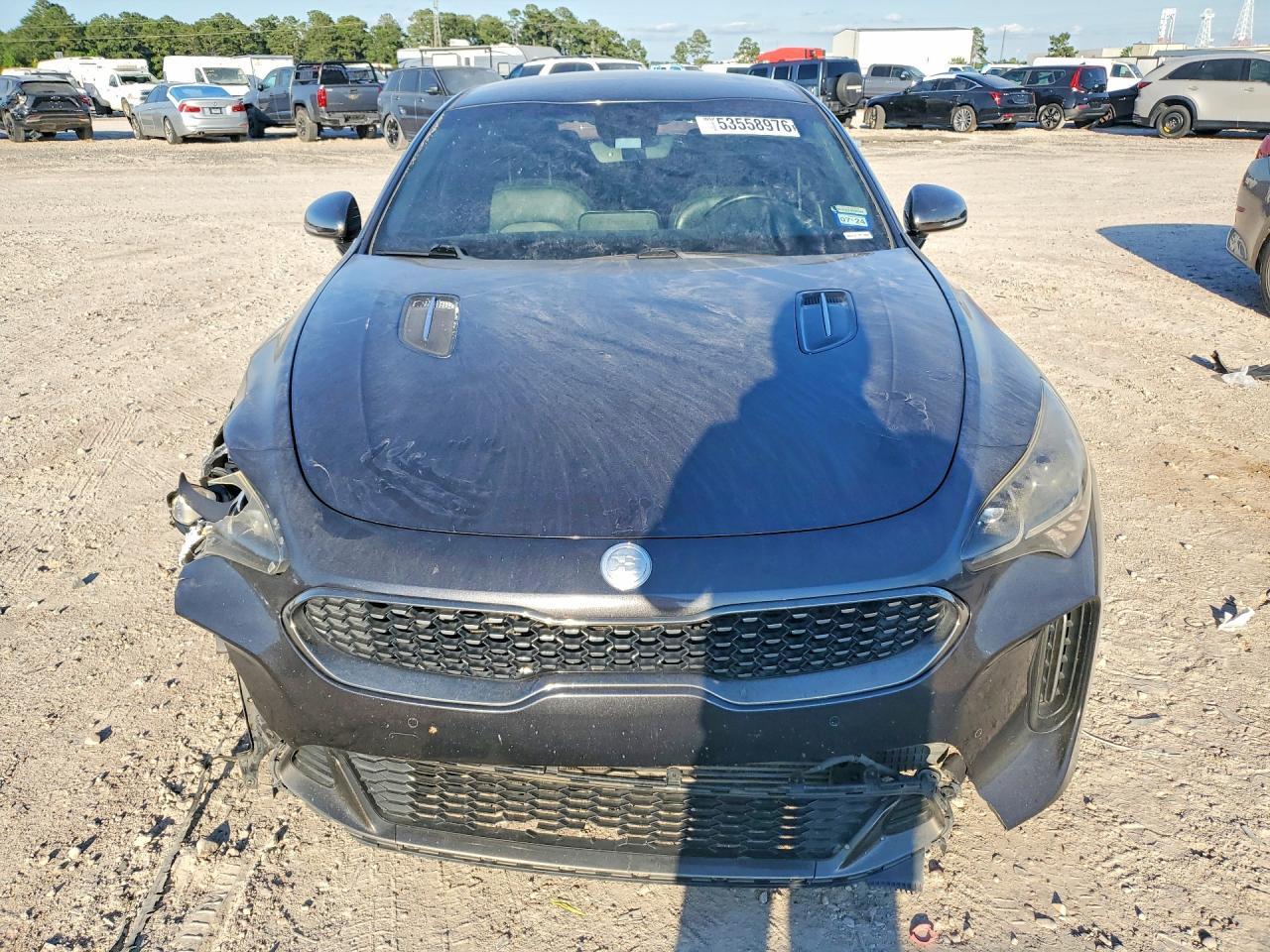 2019 Kia Stinger Gt - Фото 5