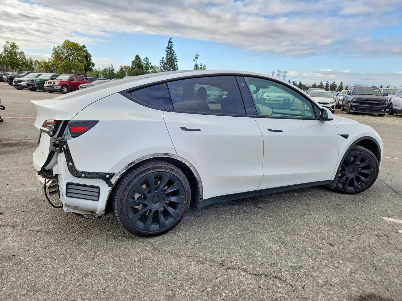 2021 Tesla Model Y - Фото 3