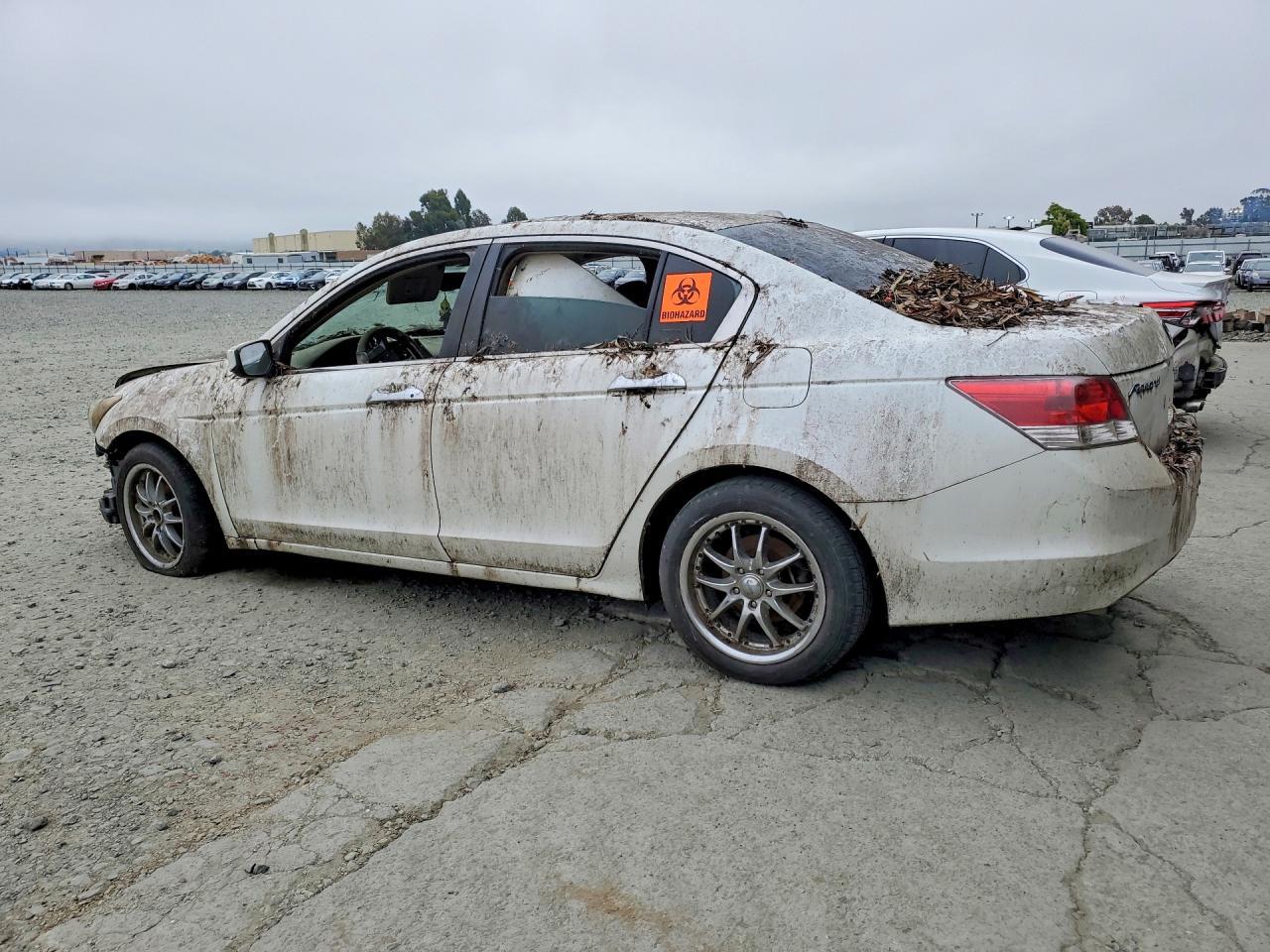 2008 Honda Accord Exl - Image 2