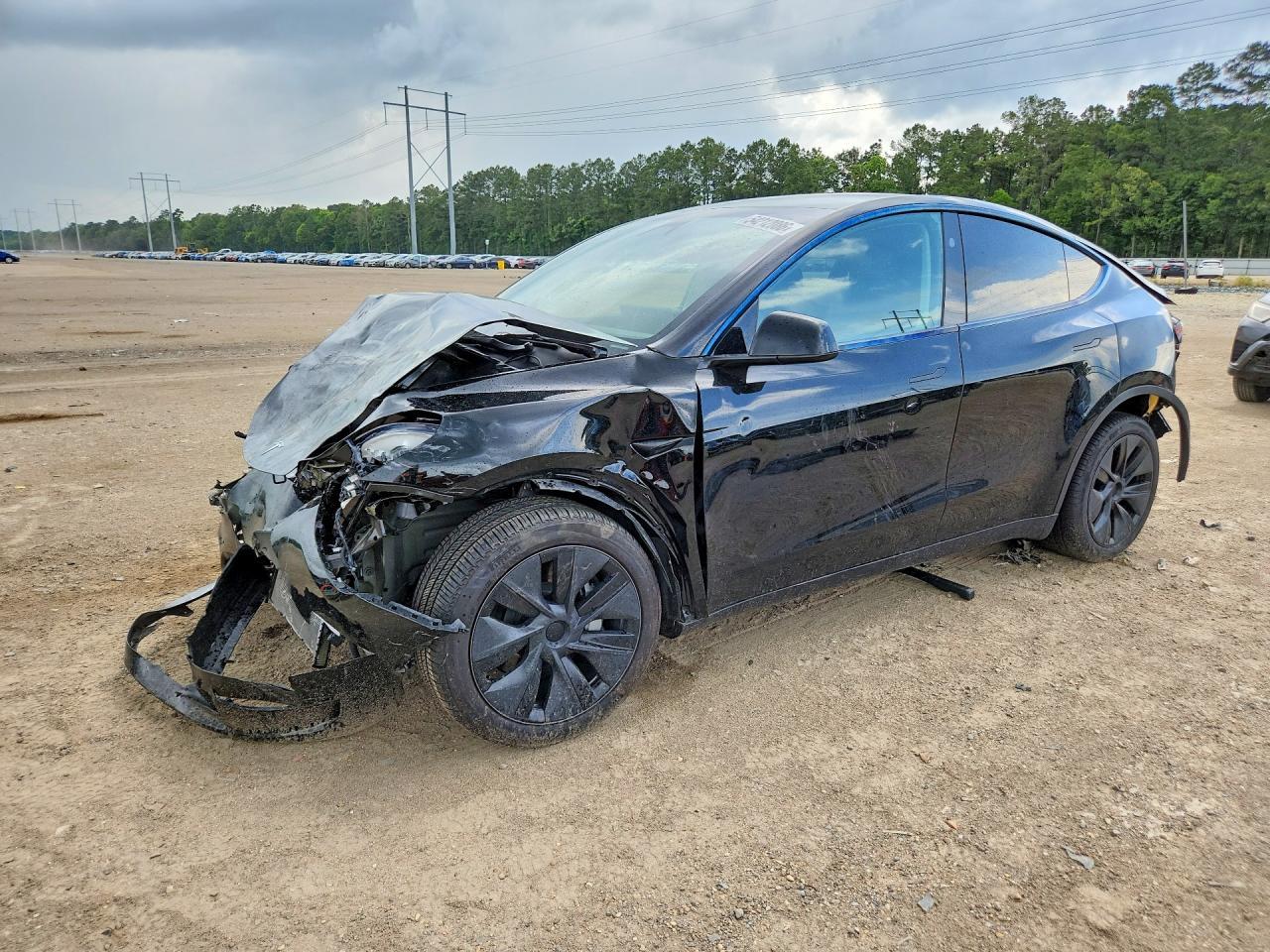 2025 Tesla Model Y