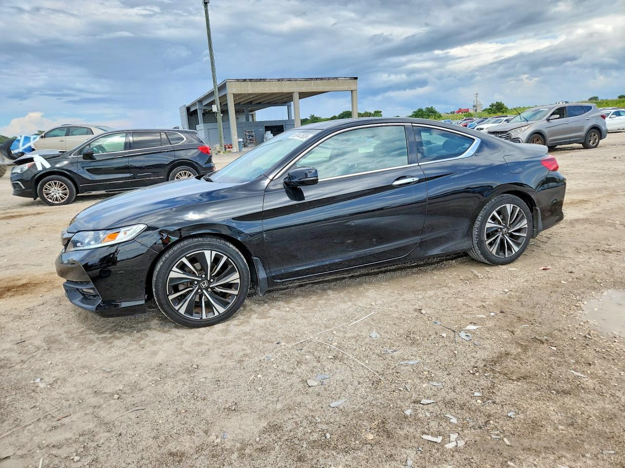 lot