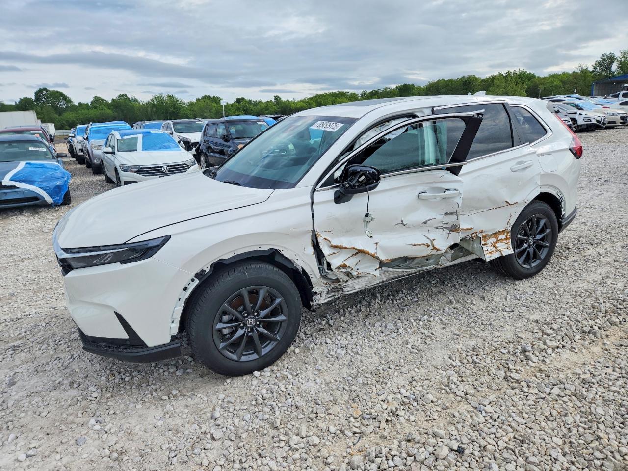 2026 Honda Cr-V Exl