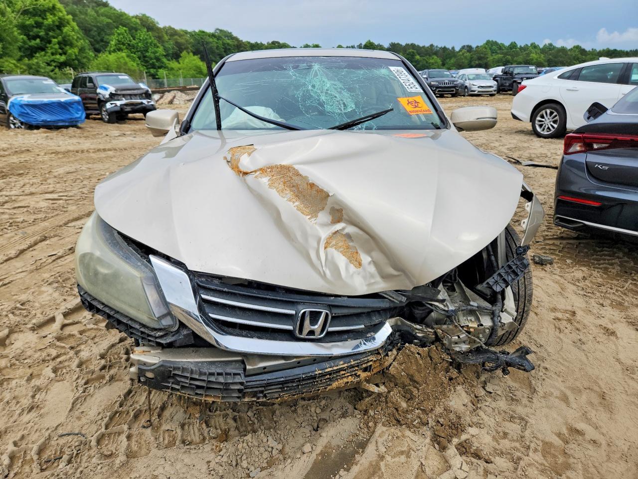 2013 Honda Accord Exl - Image 5