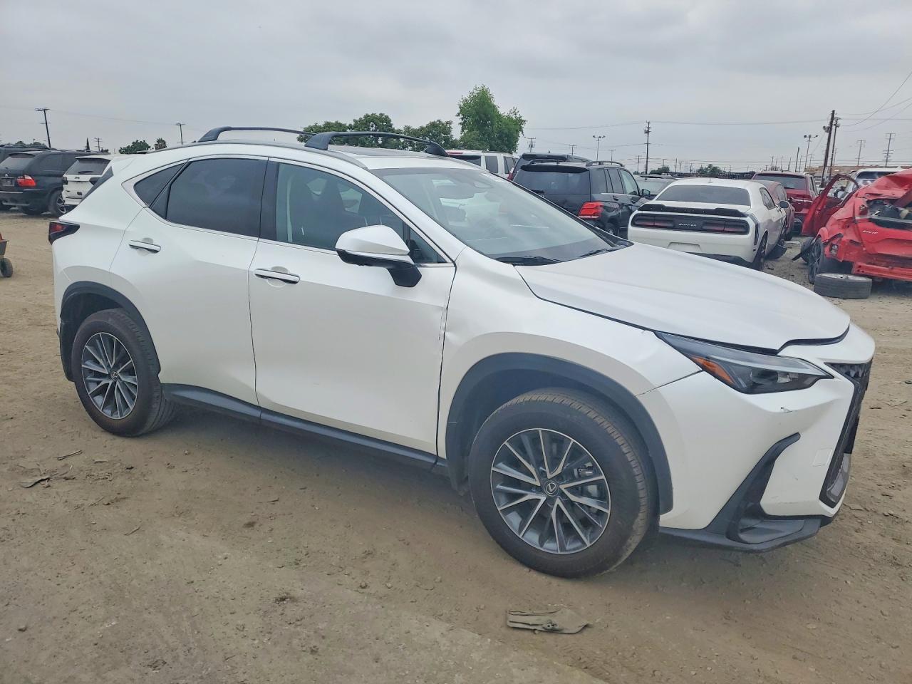 2025 Lexus Nx 350H Premium - Image 4