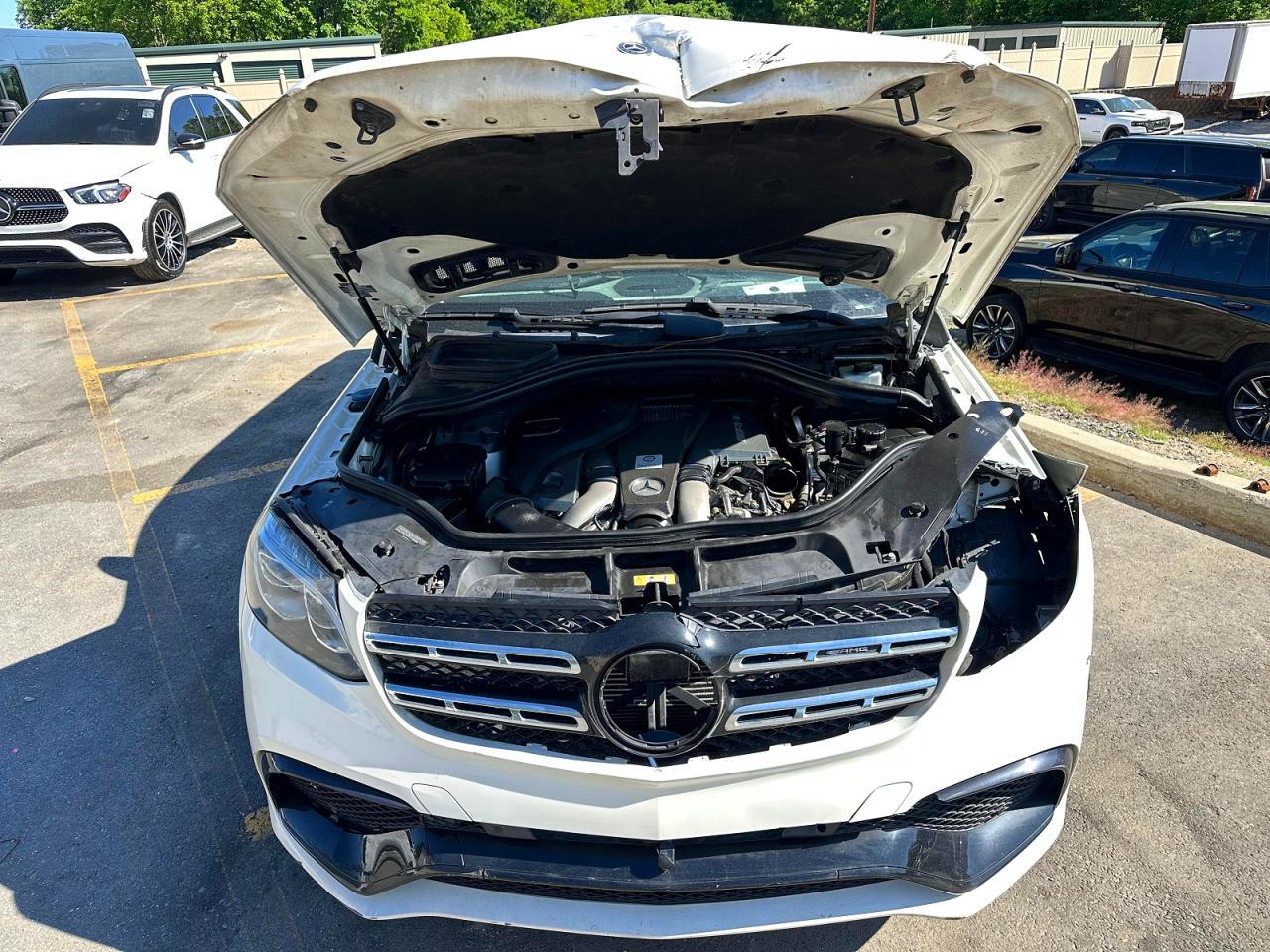 2018 Mercedes-Benz Gls 63 Amg 4Matic - Фото 6