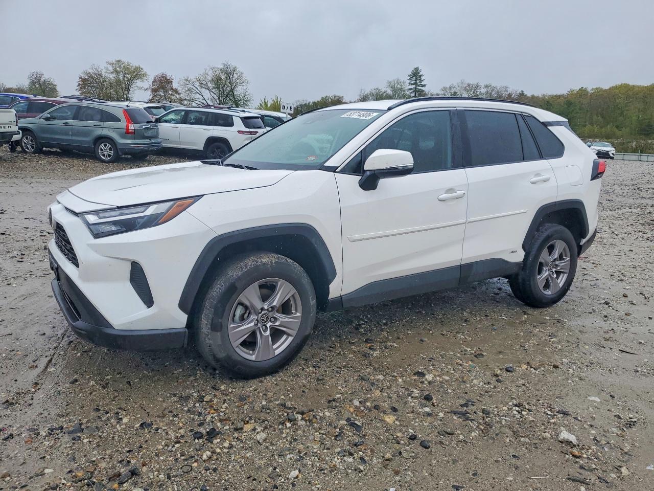 2025 Toyota Rav4 Hybrid Xle