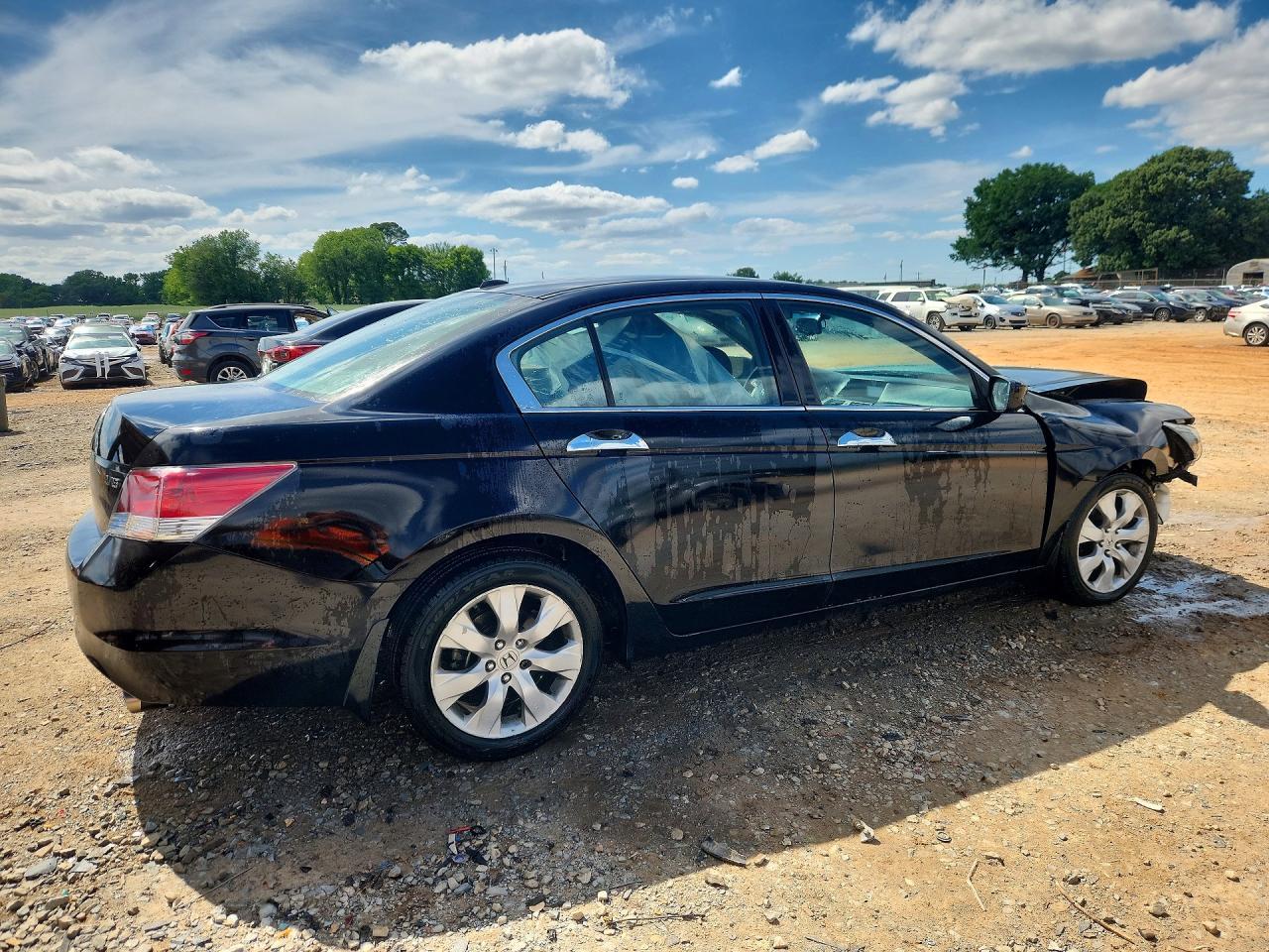 2010 Honda Accord Exl - Фото 3