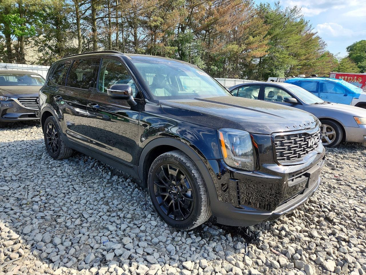2022 Kia Telluride Ex - Фото 4