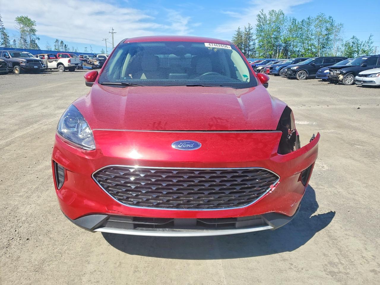 2020 Ford Escape Se - Фото 5