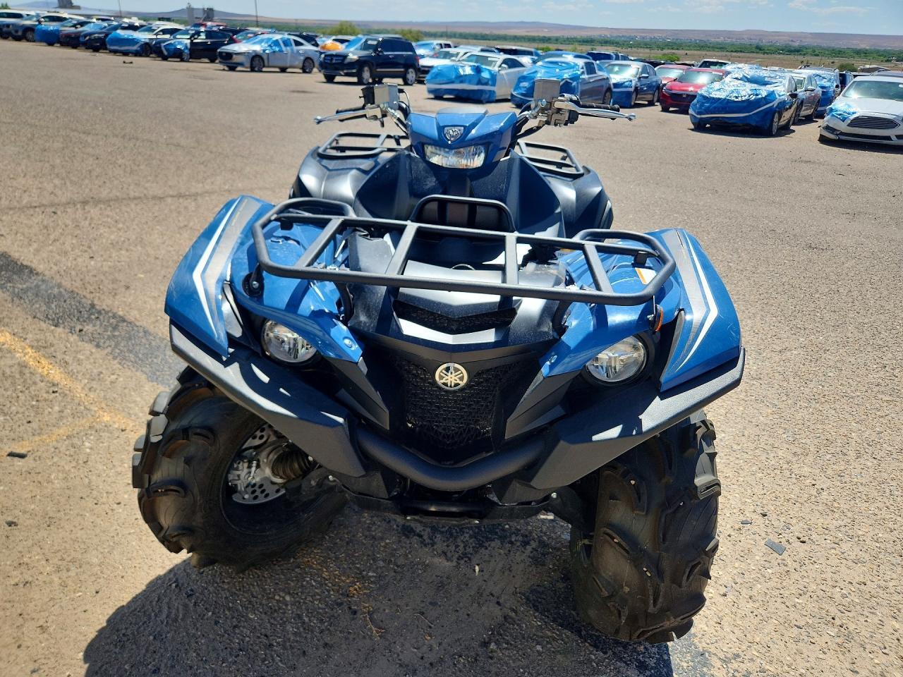 2025 Yamaha Grizzly Atv - Image 2