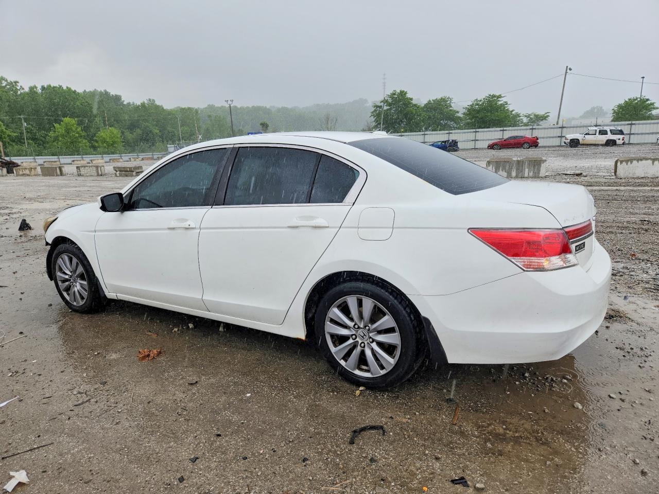 2011 Honda Accord Exl - Image 2