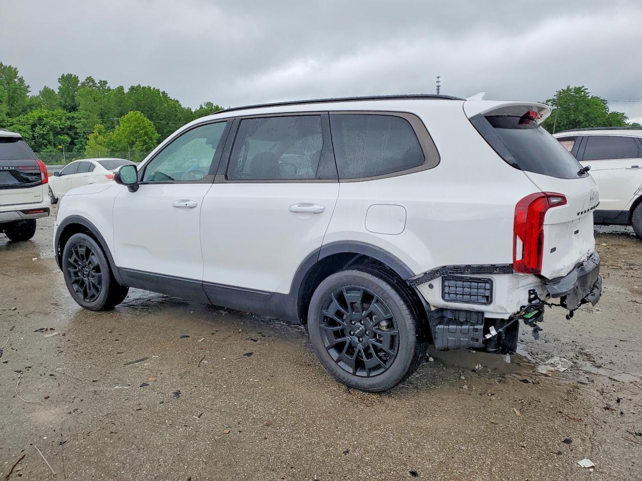 2022 Kia Telluride Ex - Image 2