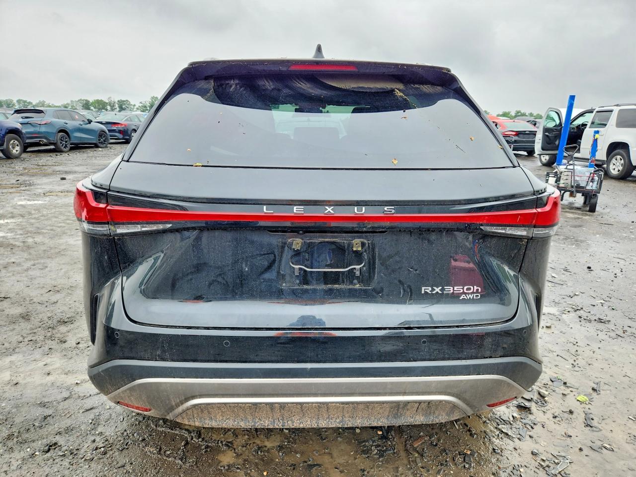 2025 Lexus Rx 350H Premium - Фото 6