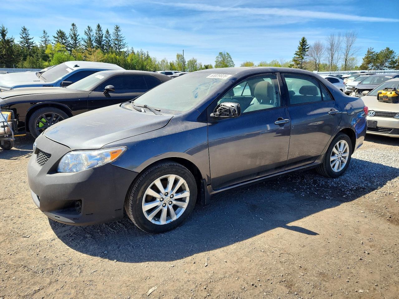 2009 Toyota Corolla Le Plus/Le Premium