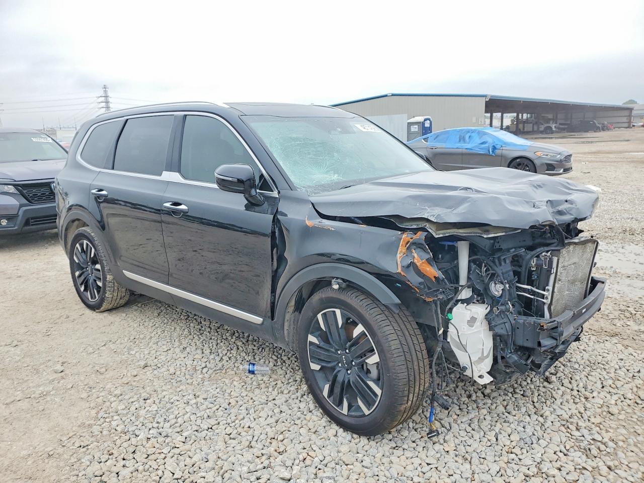 2023 Kia Telluride Sx - Фото 4