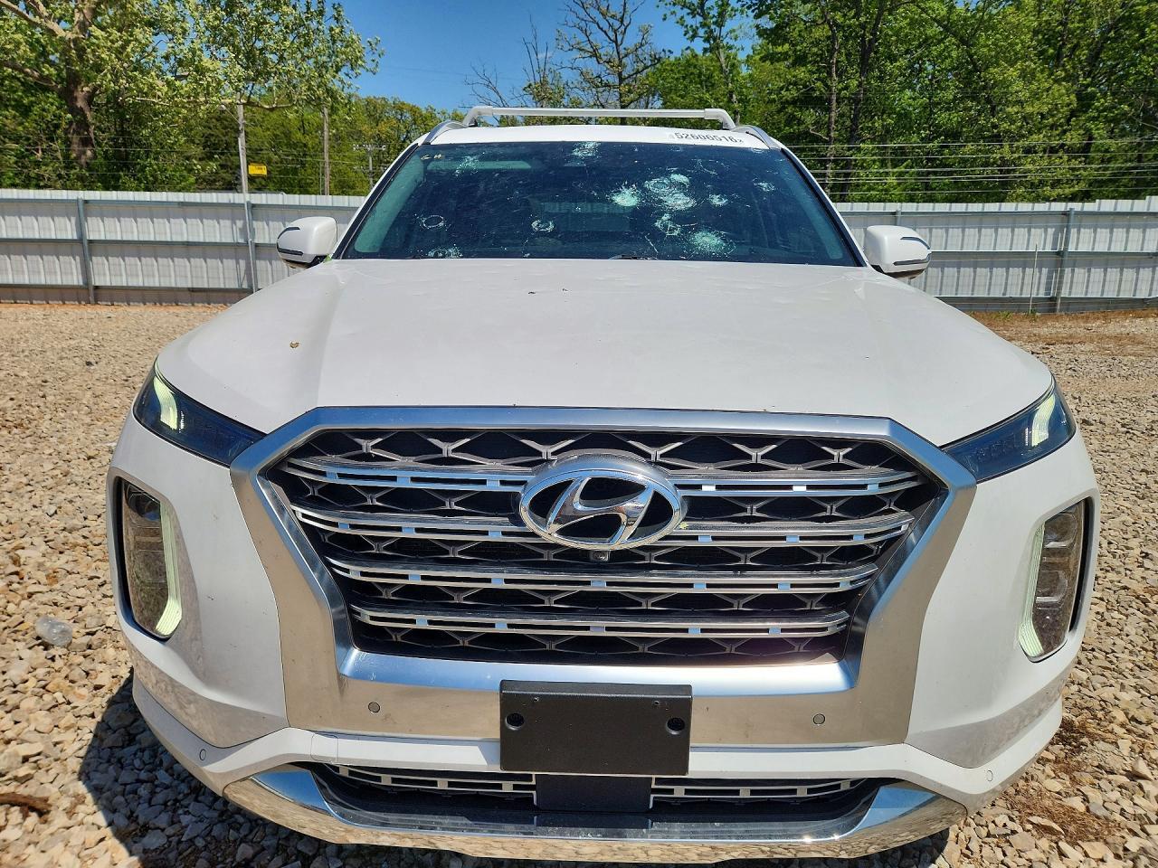 2020 Hyundai Palisade Limited - Фото 5