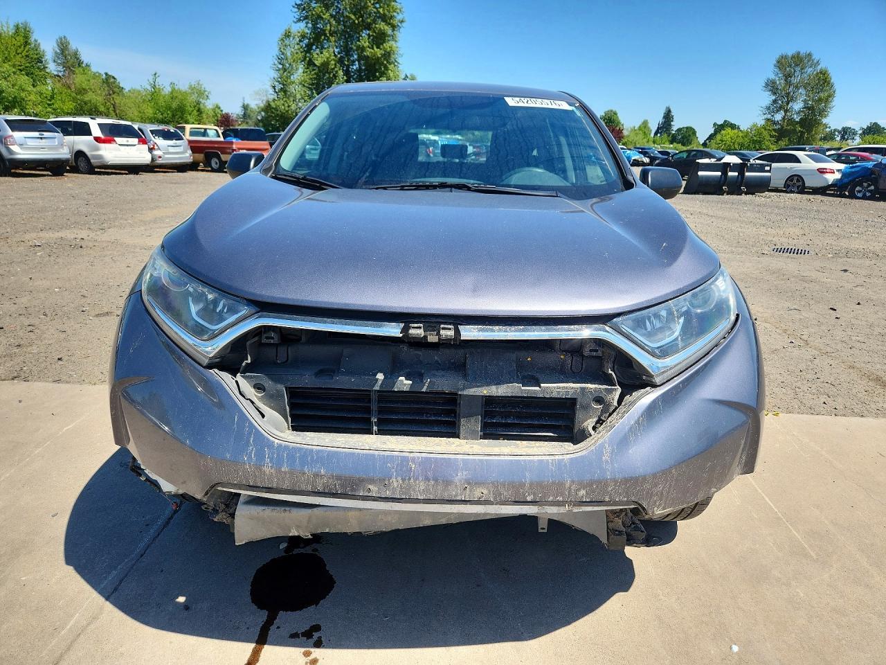 2019 Honda Cr-V Lx - Image 5