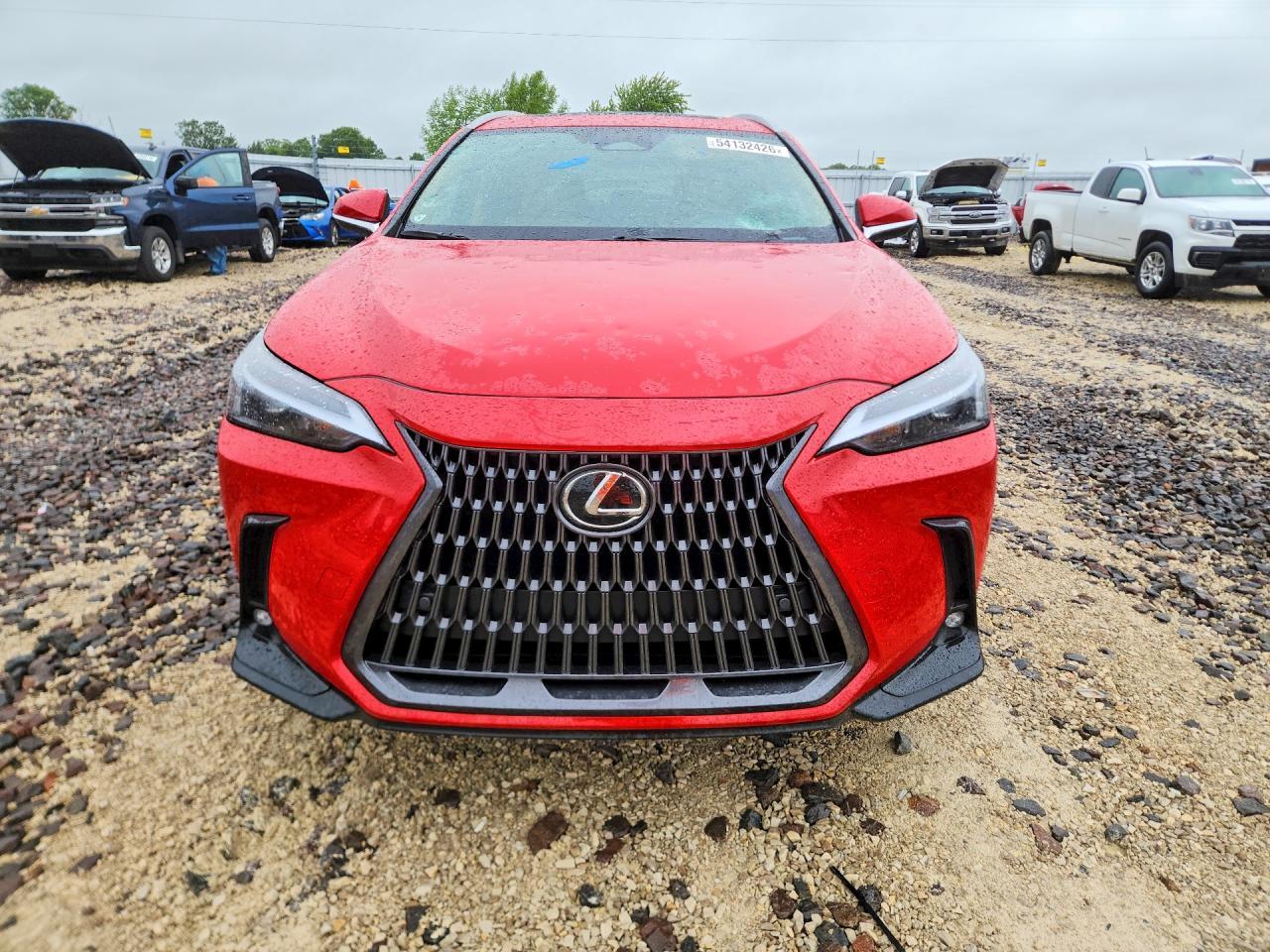 2024 Lexus Nx 250 Premium - Фото 5