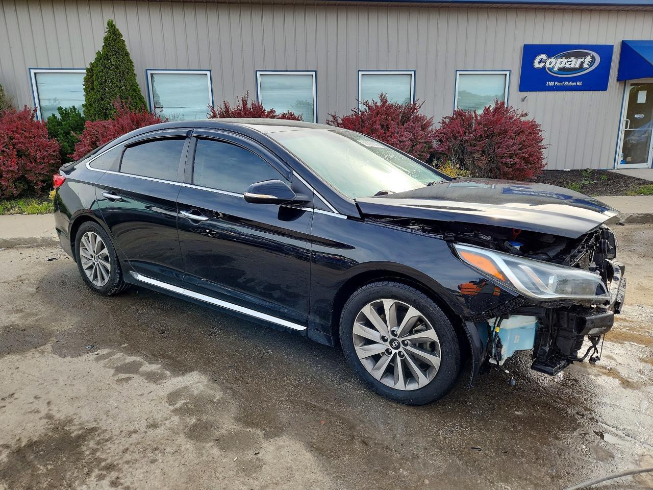 2016 Hyundai Sonata Sport - Фото 4