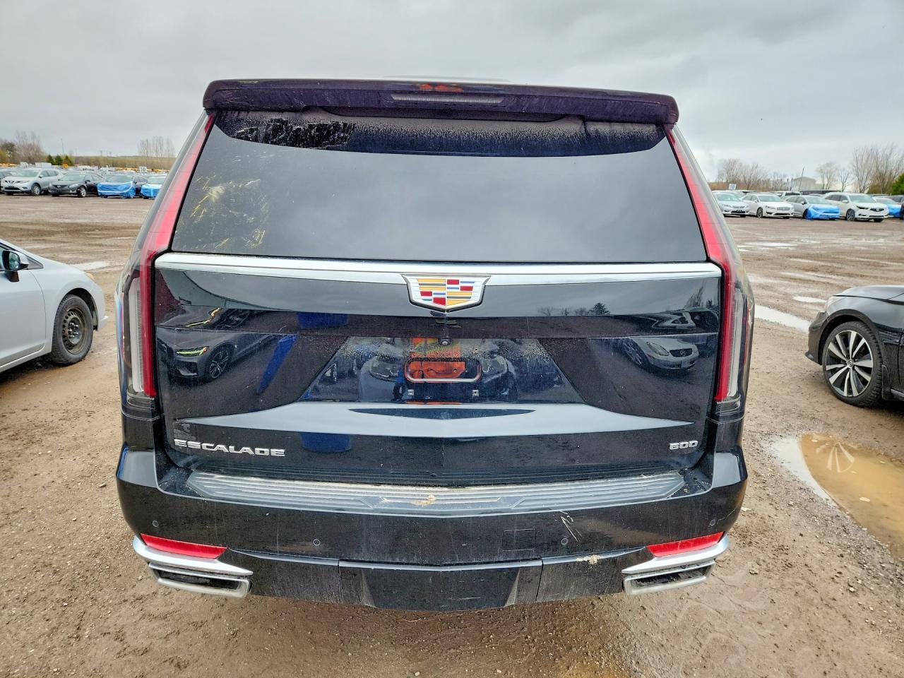 2024 Cadillac Escalade Esv Luxury - Фото 6