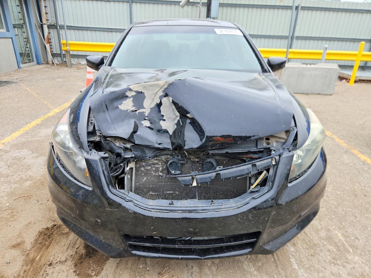 2011 Honda Accord Exl - Image 5
