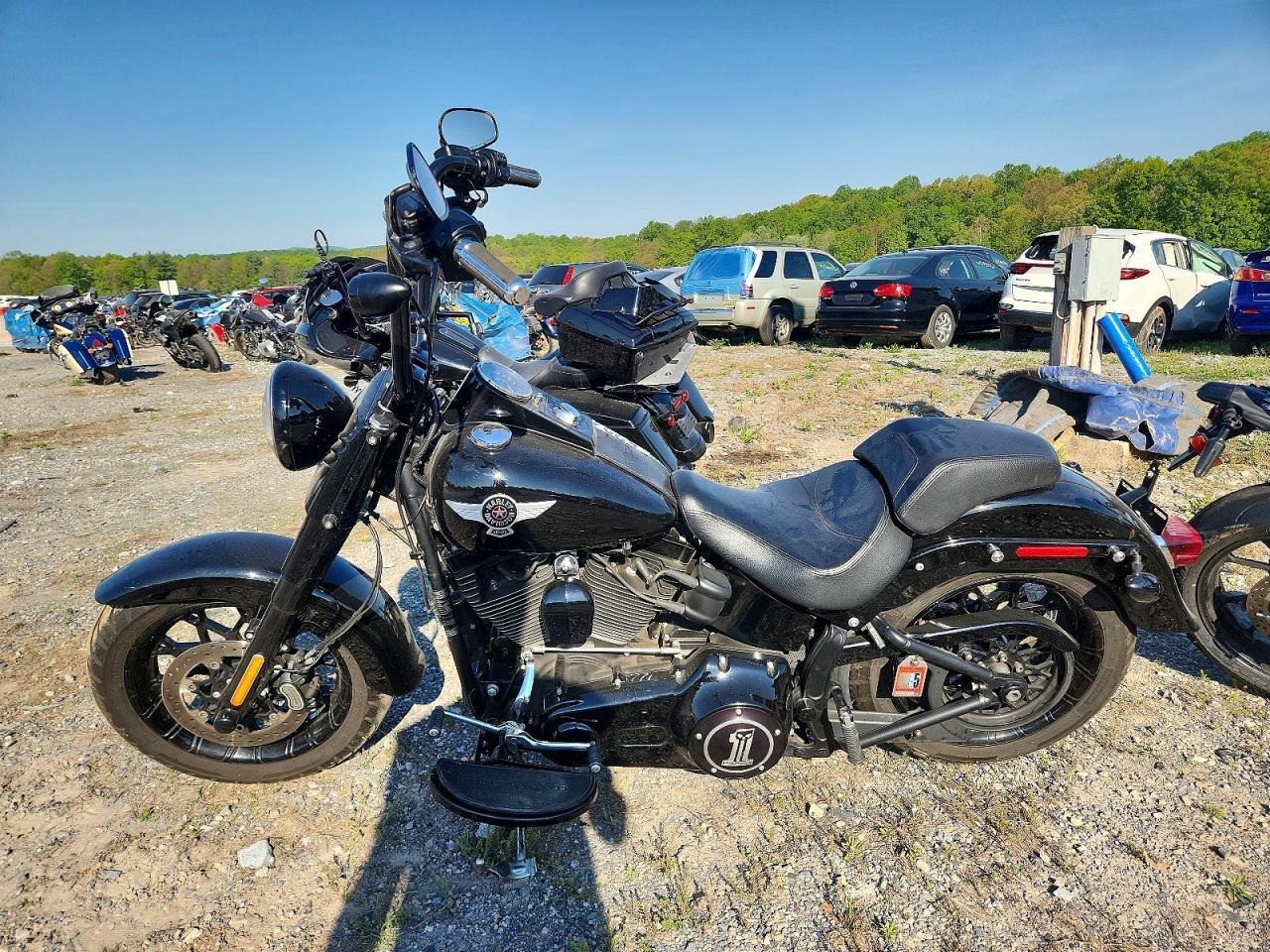 2016 Harley-Davidson Flstfbs - Фото 3
