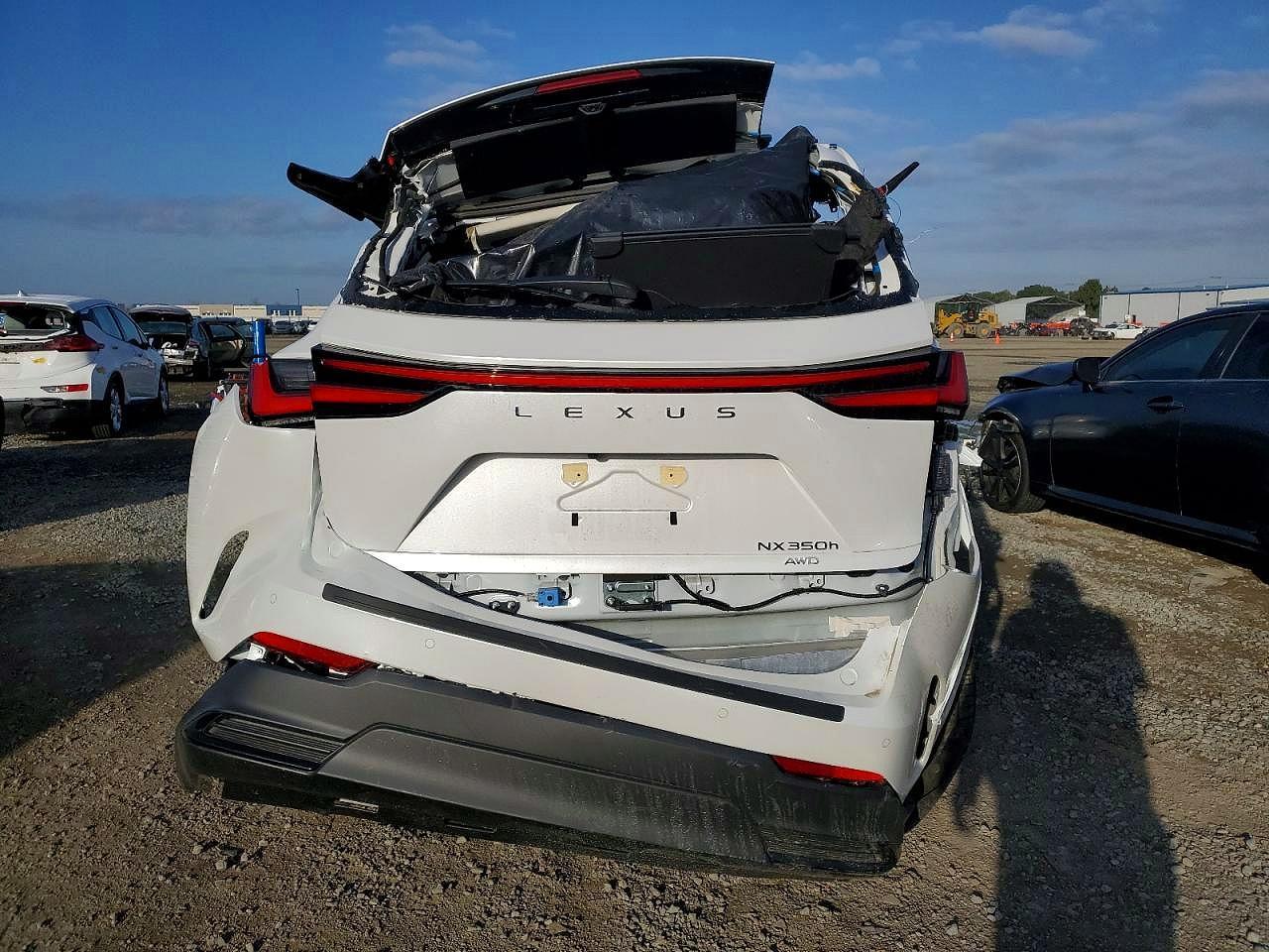 2024 Lexus Nx 350 - Фото 6