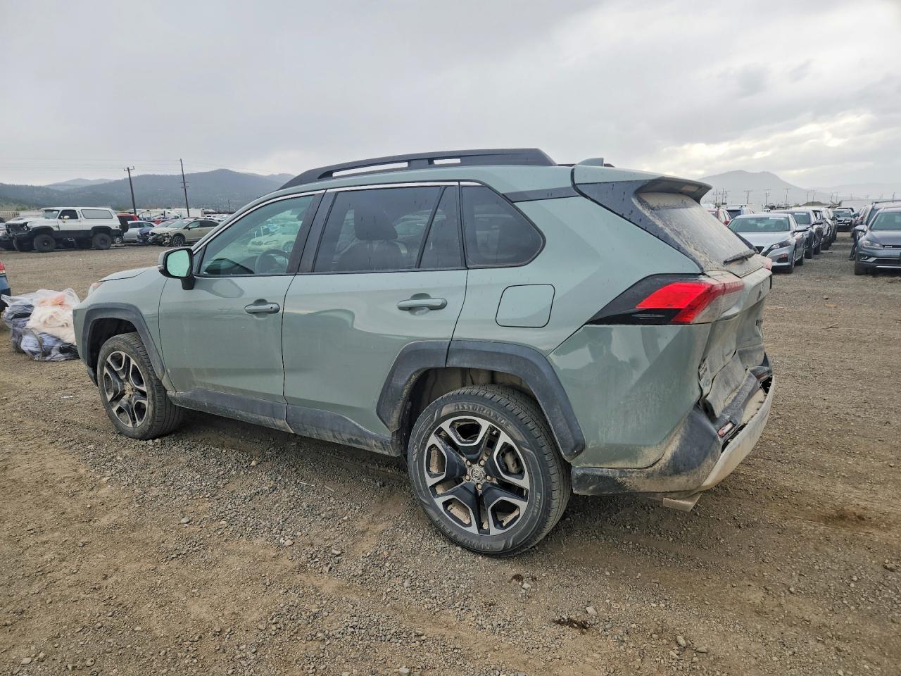 2019 Toyota Rav4 Adventure - Фото 2