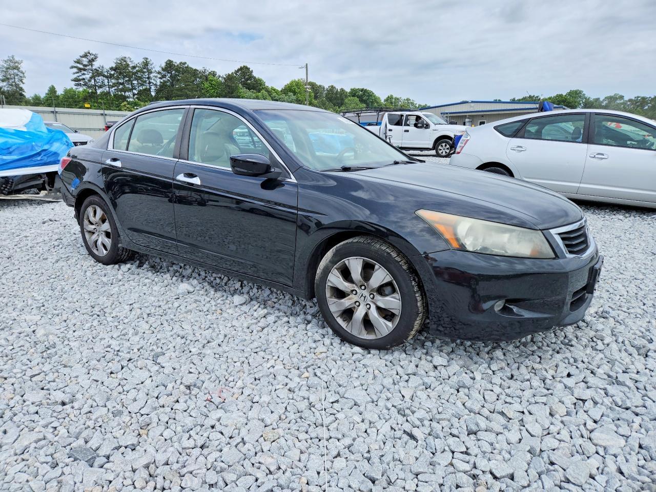 2010 Honda Accord Exl - Image 4