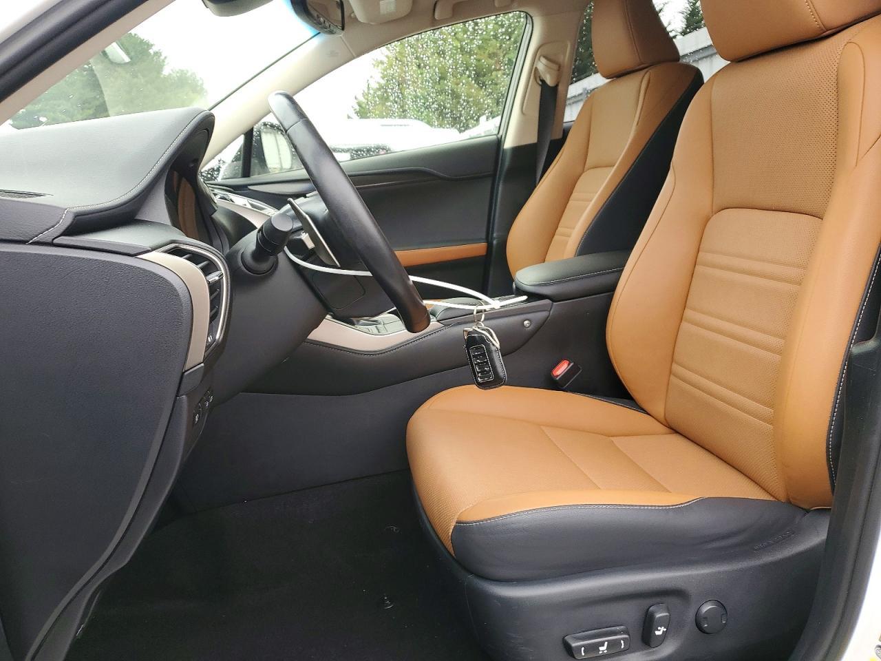2019 Lexus Nx 300H - Image 7