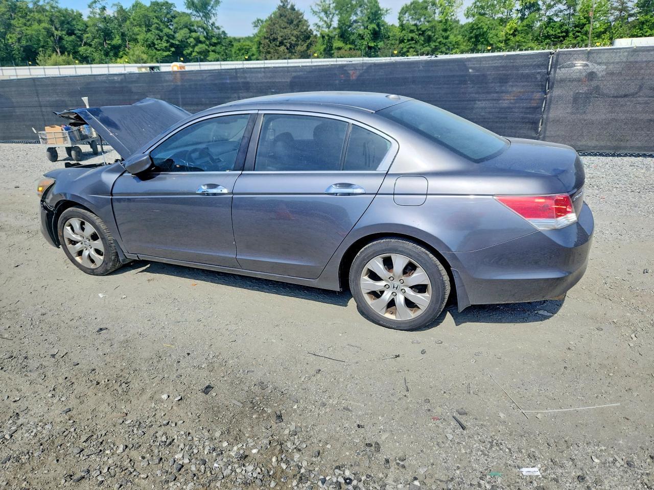 2009 Honda Accord Exl - Фото 2