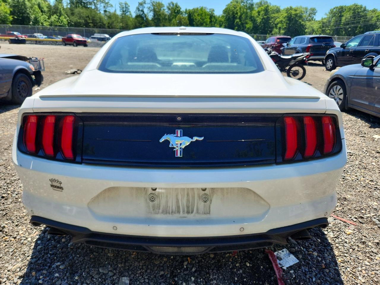 2019 Ford Mustang - Фото 6