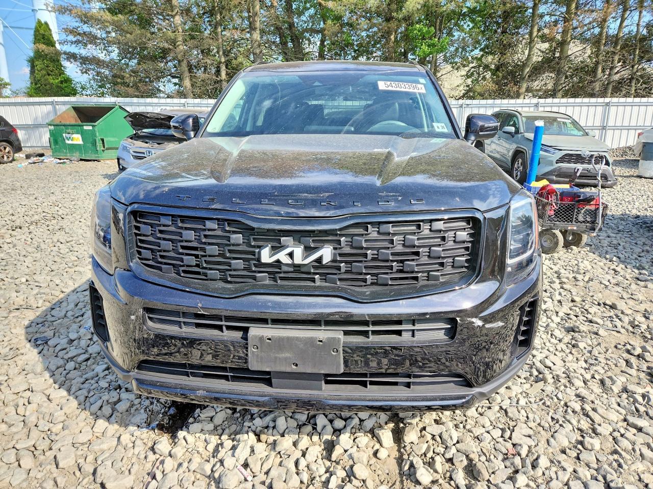 2022 Kia Telluride Ex - Фото 5