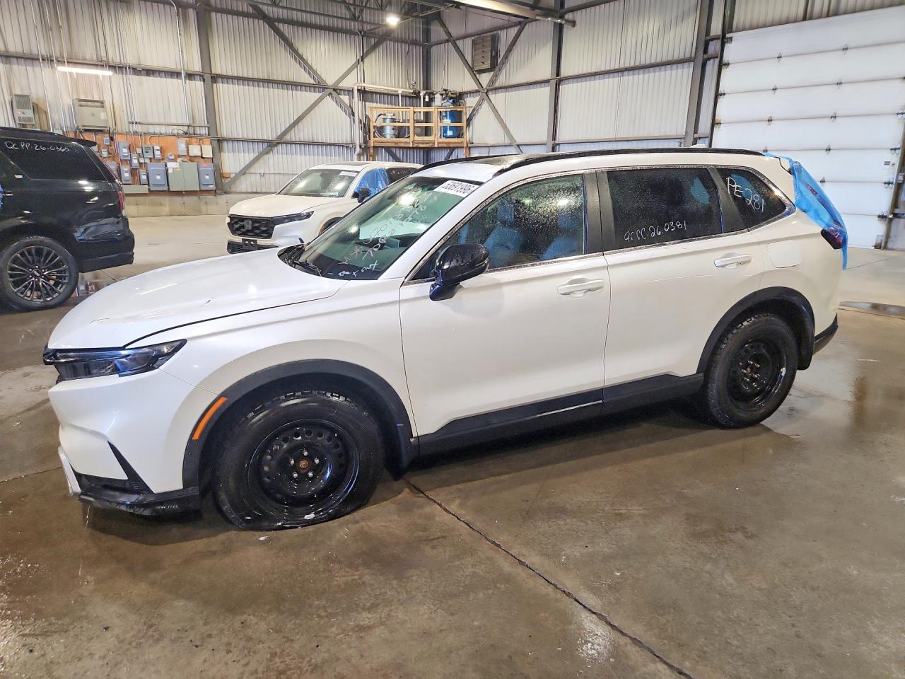 2025 Honda Cr -V