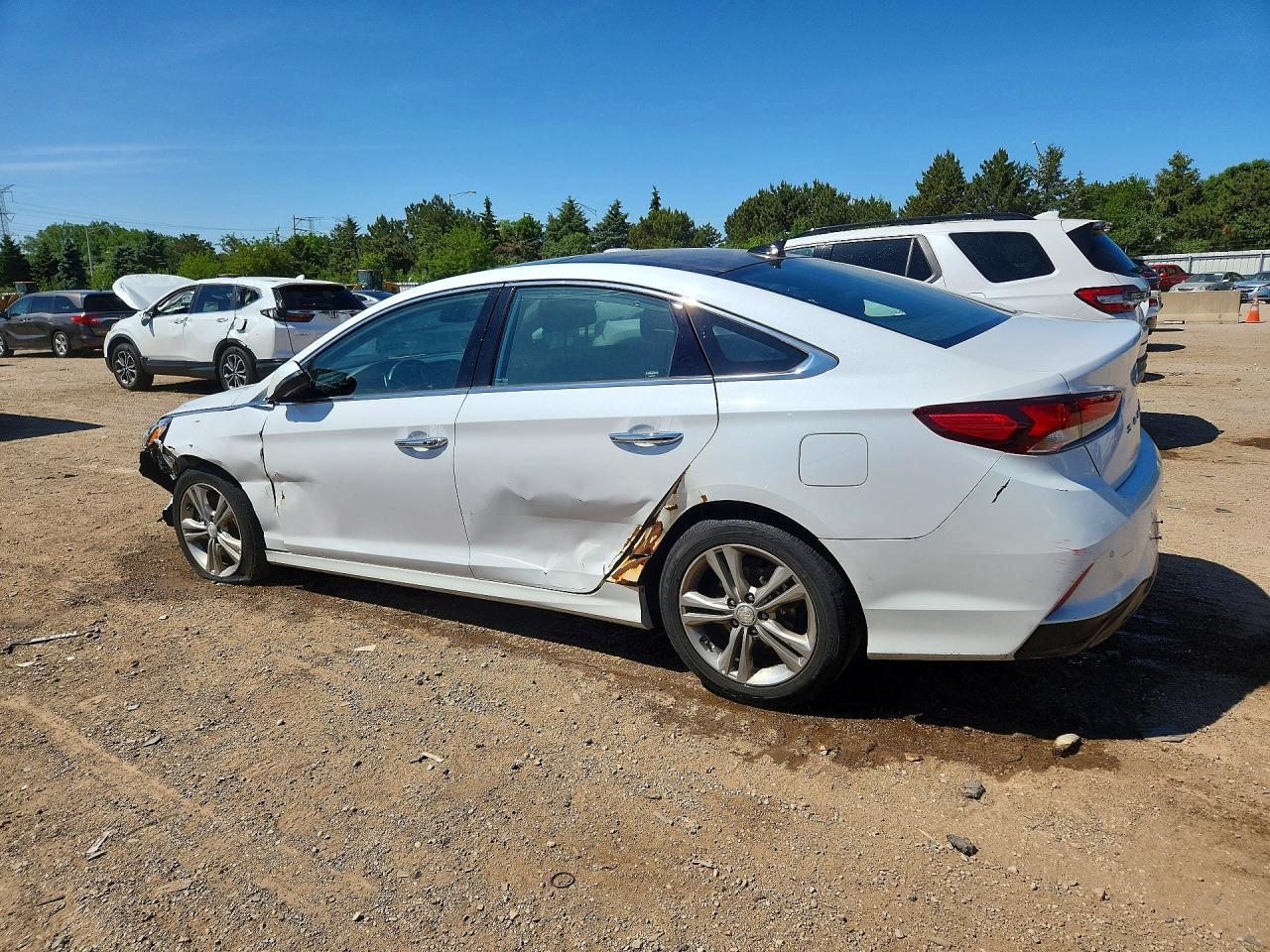 2019 Hyundai Sonata Limited - Фото 2