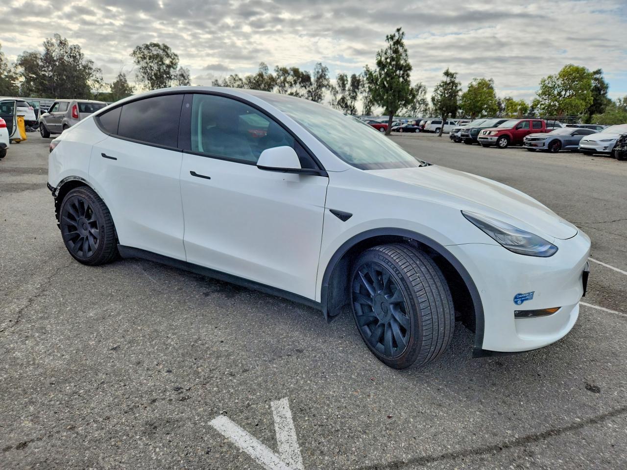 2021 Tesla Model Y - Фото 4