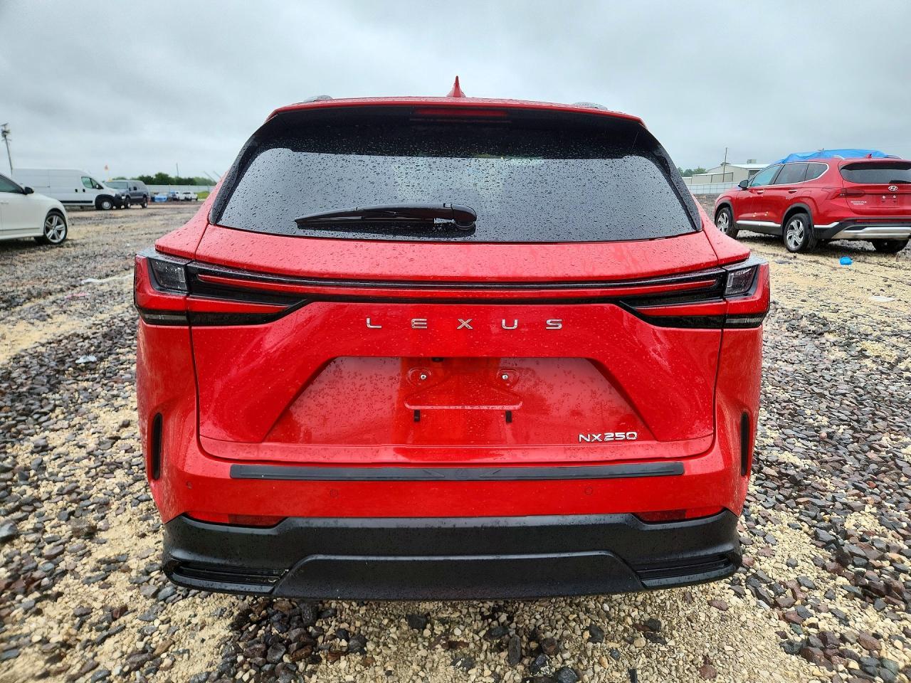2024 Lexus Nx 250 Premium - Фото 6