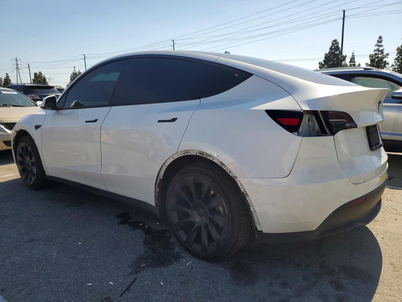 2023 Tesla Model Y - Фото 2