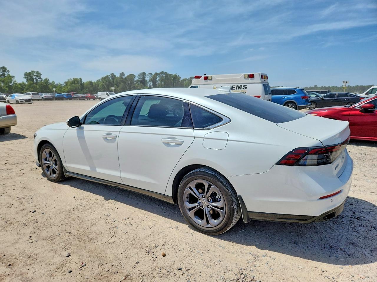 2024 Honda Accord - Фото 2