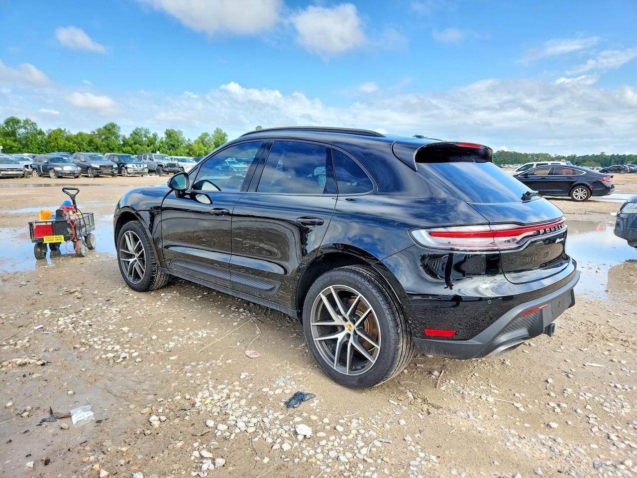 2025 Porsche Macan Base - Фото 2