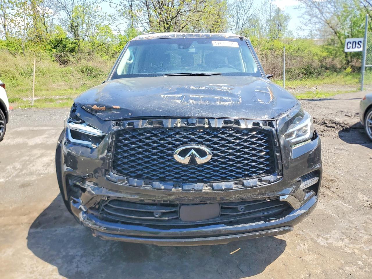 2024 Infiniti Qx80 Premium Select - Фото 5