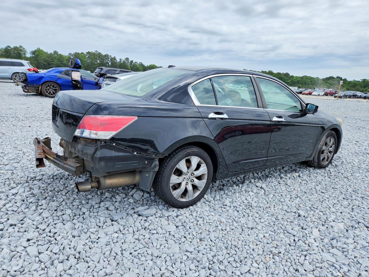 2010 Honda Accord Exl - Image 3